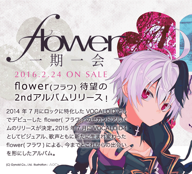 V Flower ブイフラワ 公式サイト